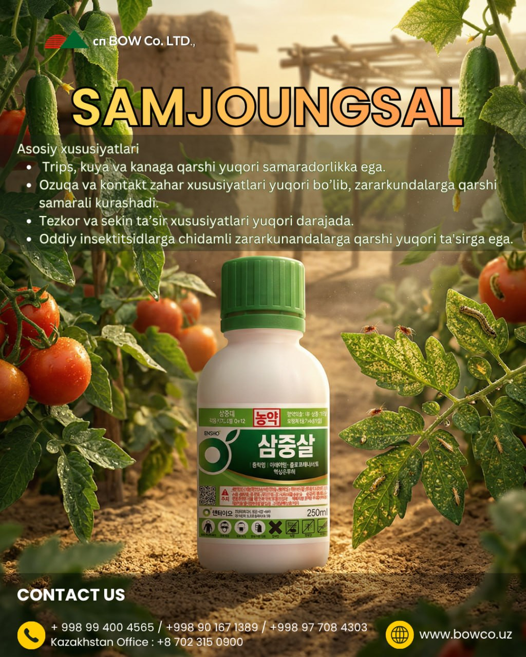 Samjoungsal Samjoungsal