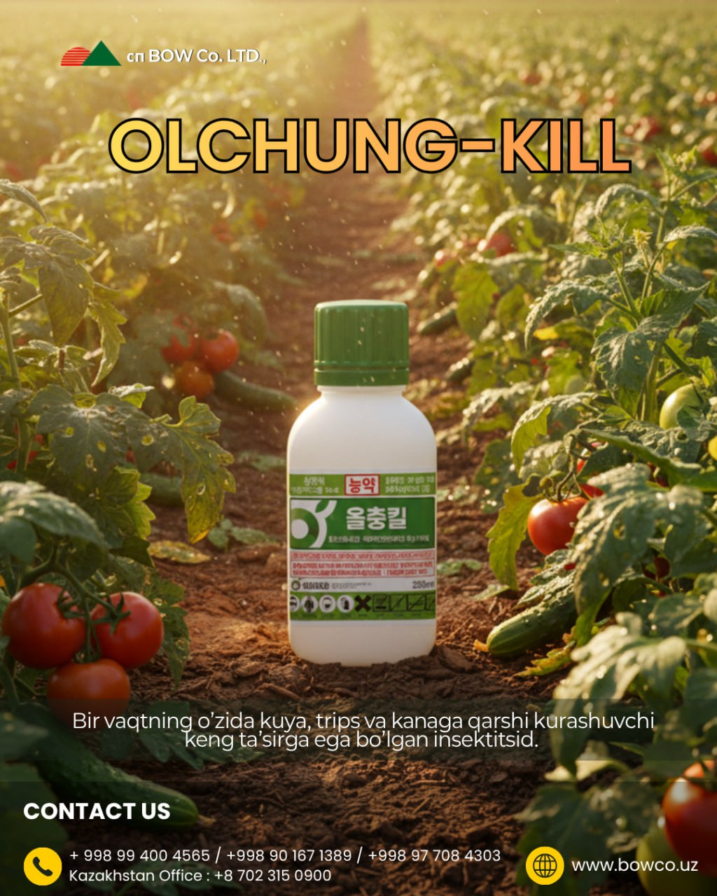 AllChungKill AllChungKill