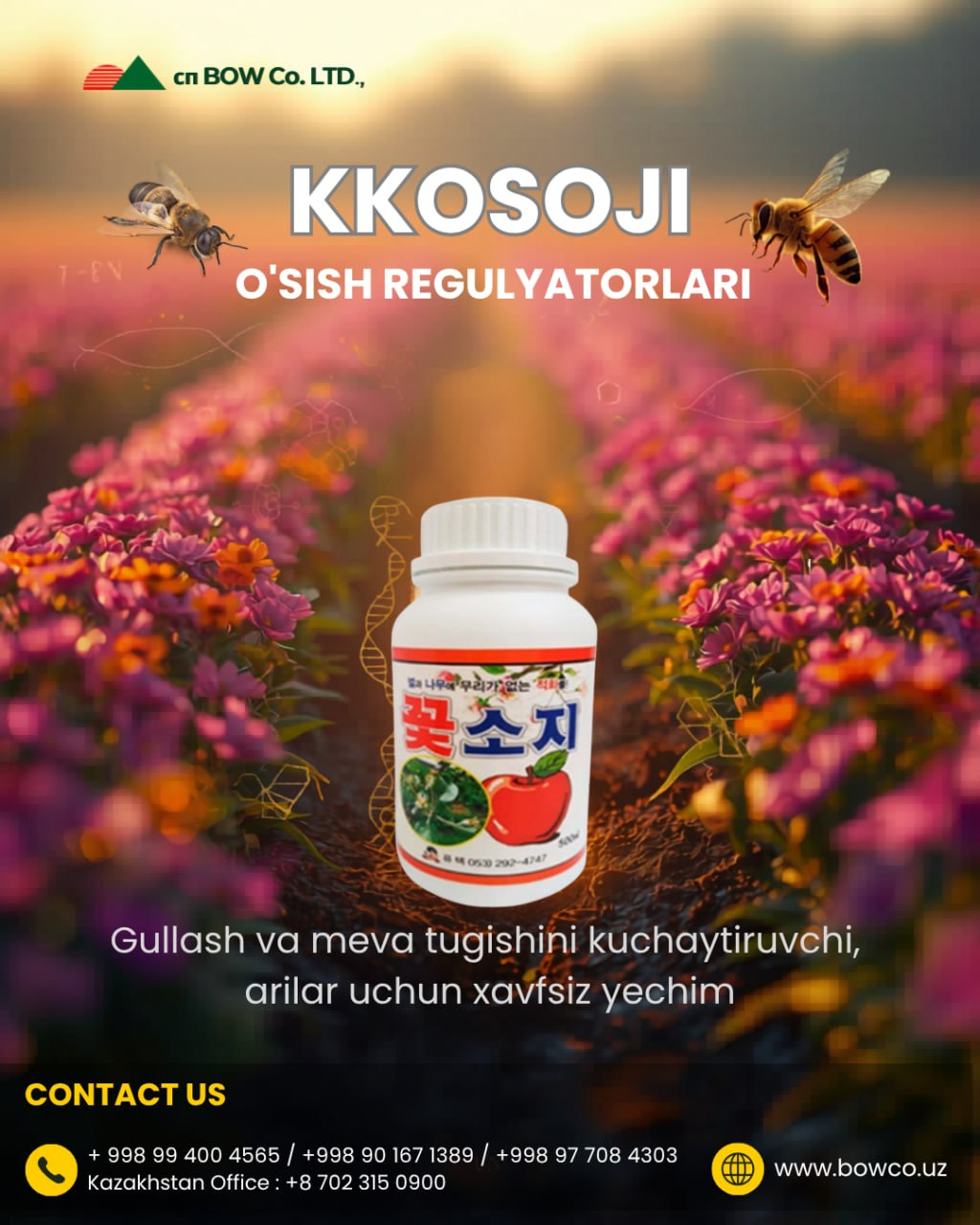Котсоджи Котсоджи