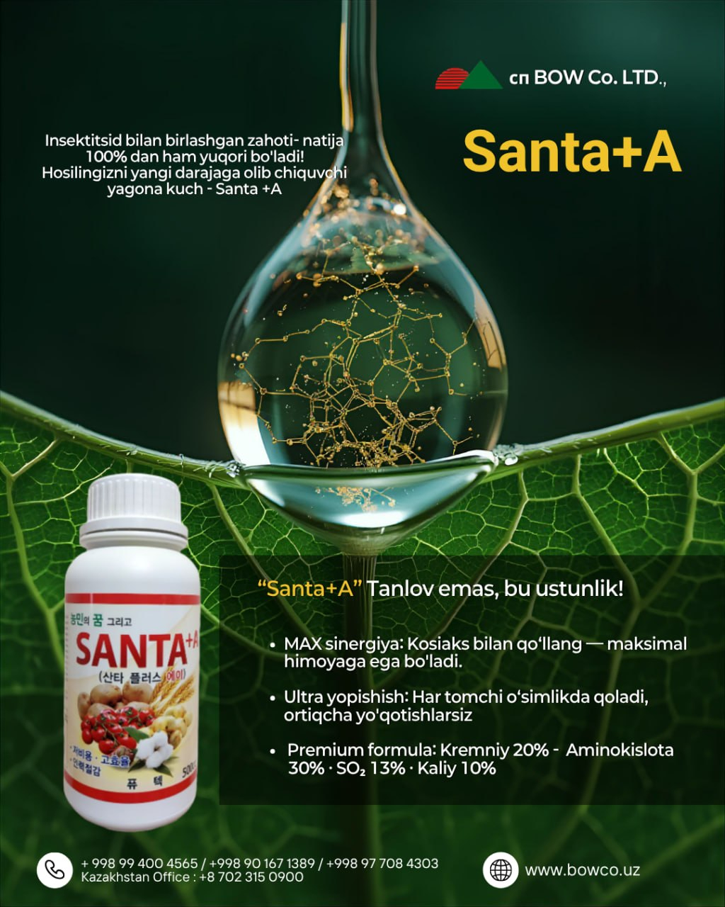 Santa