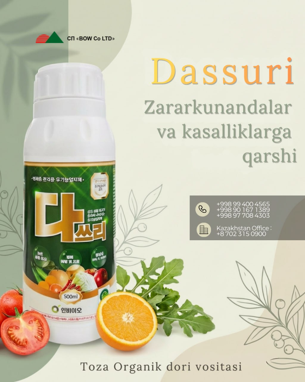 Dassuri Dassuri