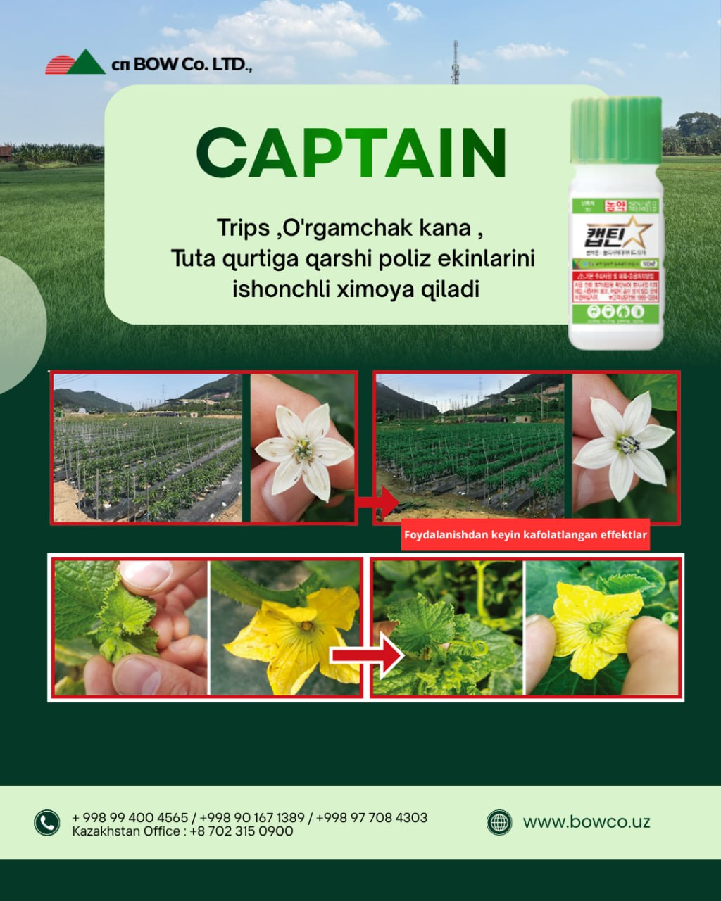 Captain Captain